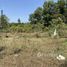  Land for sale in Choeng Thale, Phuket, Choeng Thale, Thalang, Phuket