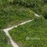  Land for sale in Surat Thani, Maenam, Koh Samui, Surat Thani