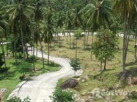  Terrain for sale in Surat Thani, Taling Ngam, Koh Samui, Surat Thani