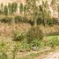  Land for sale in Sattahip, Chon Buri, Phlu Ta Luang, Sattahip