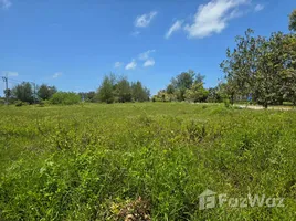 ขายที่ดิน ใน ตะกั่วป่า, พังงา, ตะกั่วป่า, ตะกั่วป่า, พังงา