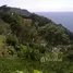  Land for sale in Phuket Town Phuket, Karon, Phuket Town, Phuket