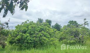 N/A Land for sale in Makhun Wan, Chiang Mai 