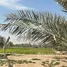  Terreno (Parcela) en venta en Al Rahba, Al Muneera, Al Raha Beach, Abu Dhabi, Emiratos Árabes Unidos