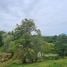  Terreno (Parcela) en venta en Sarapiqui, Heredia, Sarapiqui