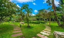 Photos 3 of the Communal Garden Area at Lotus Gardens