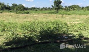 N/A Grundstück zu verkaufen in Mueang Chum, Chiang Rai 