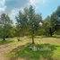  Land for sale in Ban Laeng, Rayong, Ban Laeng