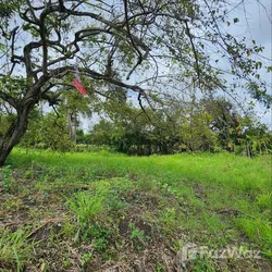 Solar en San Felipe De Puerto Plata, foto 3