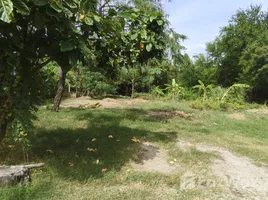 ขายที่ดิน ใน เมืองพัทยา, พัทยา, เมืองพัทยา