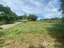  Land for sale in Mueang Nakhon Ratchasima, Nakhon Ratchasima, Nong Chabok, Mueang Nakhon Ratchasima