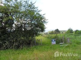  Land for sale in Ararica, Rio Grande do Sul, Ararica, Ararica