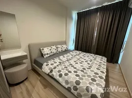 ขายคอนโด 1 ห้องนอน ในโครงการ เดอะ เบส ดาวน์ทาวน์, วิชิต