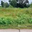  Land for sale in Non Thai Nakhon Ratchasima, Non Thai, Non Thai, Nakhon Ratchasima