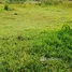  Land for sale in Choeng Thale, Phuket, Choeng Thale