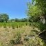  Terreno (Parcela) en venta en Puerto Plata, San Felipe De Puerto Plata