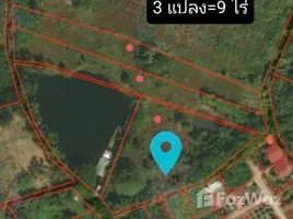  Land for sale in Chiang Mai, Yu Wa, San Pa Tong, Chiang Mai