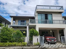 บ้านเดี่ยว 3 ห้องนอน ให้เช่า ในโครงการ บุราสิริ เกาะแก้ว, เกาะแก้ว