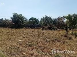 ขายที่ดิน ใน ศรีสุนทร, ภูเก็ต, ศรีสุนทร