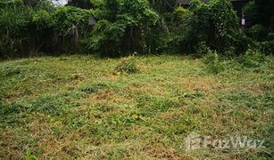 N/A Land for sale in San Klang, Chiang Mai 