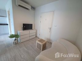 อพาร์ทเม้นท์ 1 ห้องนอน ให้เช่า ในโครงการ แอสปาย งามวงศ์วาน, ทุ่งสองห้อง, หลักสี่, กรุงเทพมหานคร