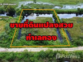 ขายที่ดิน ใน ลำตาเสา, พระนครศรีอยุธยา, ลำตาเสา, วังน้อย