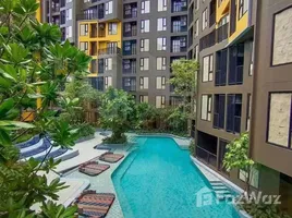 2 Bedroom Condo for rent at THE BASE Central Phuket, Wichit, Phuket Town