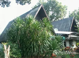 4 Bedroom House for sale in Mueang Udon Thani, Udon Thani, Na Di, Mueang Udon Thani
