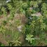  Land for sale in Koh Samui Surat Thani, Maenam, Koh Samui
