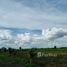  Land for sale in Thailand, Sa Kruat, Si Thep, Phetchabun, Thailand