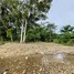  Land for sale in Phanom Surat Thani, Phanom, Phanom, Surat Thani
