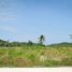  Land for sale in Wang Phong, Pran Buri, Wang Phong