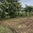  Terreno (Parcela) en venta en Ungasan, Bali, Ungasan, Badung