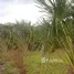  Terrain for sale in Brésil, Rio Preto Da Eva, Amazonas, Brésil