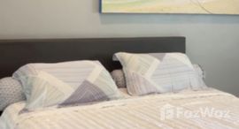 ยูนิตมือสองและให้เช่า