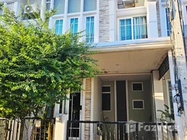 3 Schlafzimmer Reihenhaus zu vermieten in Ban Du, Chiang Rai, Ban Du, Mueang Chiang Rai, Chiang Rai, Thailand