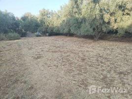  المالك for sale in Marrakech - Tensift - Al Haouz, Al Haouz, Marrakech - Tensift - Al Haouz