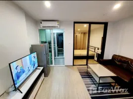 คอนโด 1 ห้องนอน ให้เช่า ในโครงการ รีเจ้นท์ โฮม สุขุมวิท 97/1, บางจาก, พระโขนง, กรุงเทพมหานคร