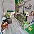 3 Bedroom House for rent in Wat Pradu, Surat Thani, Wat Pradu, Mueang Surat Thani