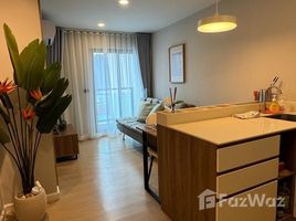 อพาร์ทเม้นท์ 1 ห้องนอน ให้เช่า ในโครงการ เสปซ เชิงทะเล คอนโดมิเนียม, เชิงทะเล