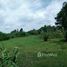  Land for sale at Centro, Itanhaem