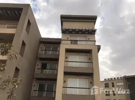 1 غرفة نوم شقة للإيجار في New Giza, Cairo Alexandria Desert Road, مدينة 6 أكتوبر, الجيزة, مصر