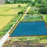 Земельный участок for sale in Khlong Yong, Nakhon Pathom, Khlong Yong, Phutthamonthon