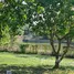  Land for sale in Chiang Rai, Huai Sak, Mueang Chiang Rai, Chiang Rai