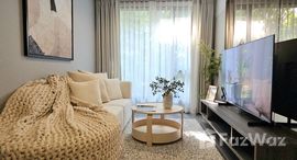 ยูนิตมือสองและให้เช่า