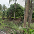  Land for sale in Thailand, Bang Khonthi, Bang Khonthi, Samut Songkhram, Thailand