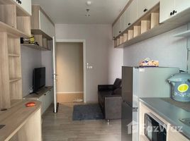 1 Schlafzimmer Appartement zu verkaufen im Plum Condo Ramkhamhaeng, Suan Luang, Suan Luang, Bangkok, Thailand