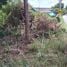  Land for sale in Phlu Ta Luang, Pattaya, Phlu Ta Luang