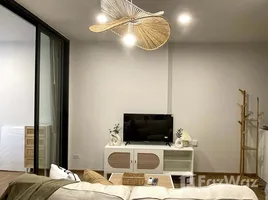อพาร์ทเม้นท์ 1 ห้องนอน ให้เช่า ในโครงการ เดอะ ไลน์ ไวบ์, จอมพล, จตุจักร