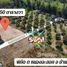  Земельный участок for sale in Ban Khai, Районг, Ban Khai, Ban Khai